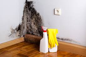 Reliable Hartford, WI Mold Removal Solutions